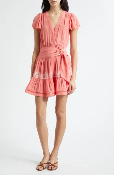 Ramy Brook Aster Embroidered Mini Dress In Animal Print