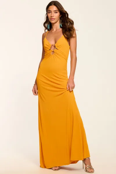 Ramy Brook Chrissy Jersey Cutout Gown In Orange
