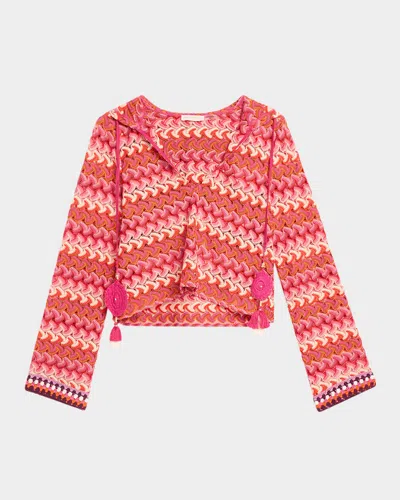 Ramy Brook Cline Chevron Knit Hooded Crop Top In Pink Chevron