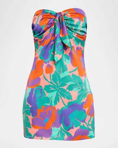 Ramy Brook Dahlia Orion Strapless Floral-print Mini Dress In Multi