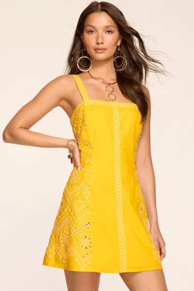 Ramy Brook Fawn Embroidered Mini Dress In Sunshine In Yellow