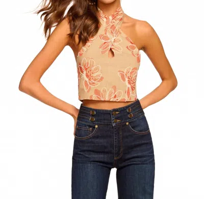 Ramy Brook Harlow Embroidered Halter Crop Top In Natural Fleur In Brown