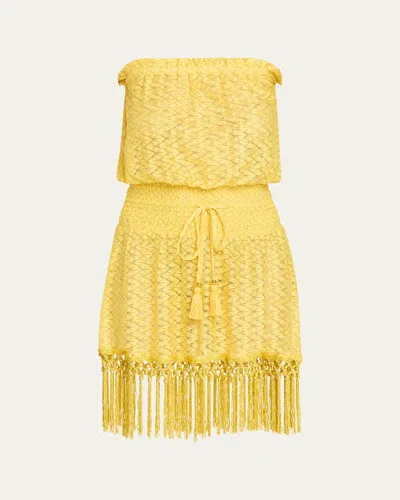 Ramy Brook Lauryn Strapless Crochet Mini Dress In Lemon Drop Zig Zag