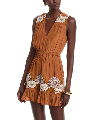 Ramy Brook Mackenzie Floral Embroidery Detail Minidress In Brown