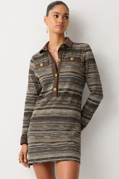 Ramy Brook Maria Printed Long Sleeve Mini Dress In Brown