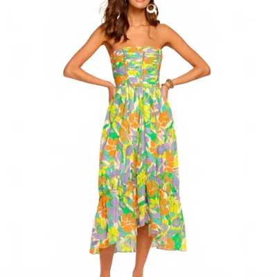 Ramy Brook Murphy Strapless Maxi Dress In Retro Garden