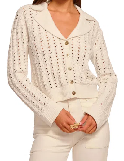Ramy Brook Nadia Bauble Knit Cardigan In Ivory In Black