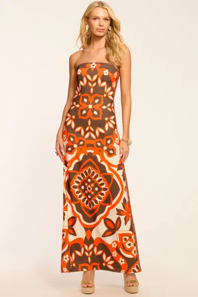 Ramy Brook Naila Printed Strapless Maxi Dress In Brown