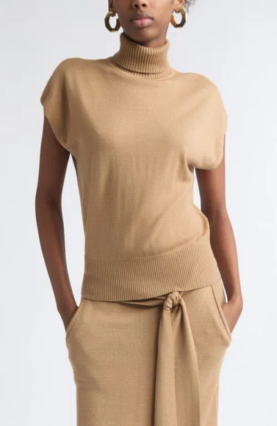 Ramy Brook Natalie Wool Turtleneck Sweater In Brown