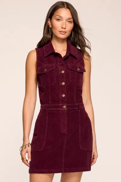 Ramy Brook Peyton Corduroy Collared Mini Dress In Red