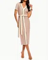 Ramy Brook Ronda Sequin Knit Midi Dress In Sequin Stripe In Pink