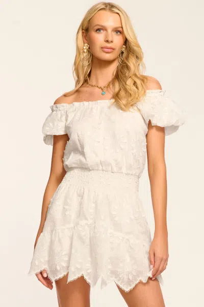 Ramy Brook Verona Embroidered Organza Mini Dress In White