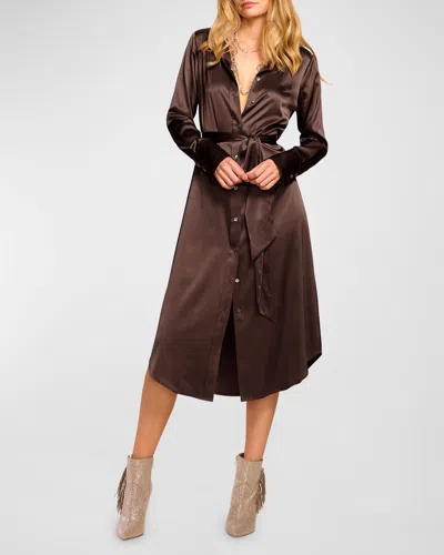 Ramy Brook Victoria Silk Shirtdress In Desert Brown