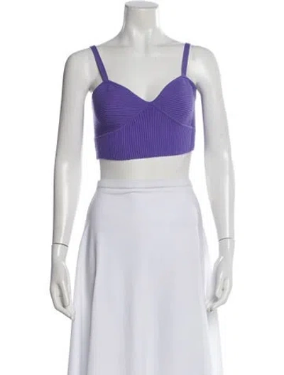 Pre-owned Ramy Brook V-neck Sleeveless Crop Top In Purple