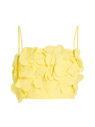 Ramy Brook Everly Embellished Cotton Cropped Top In Yellow