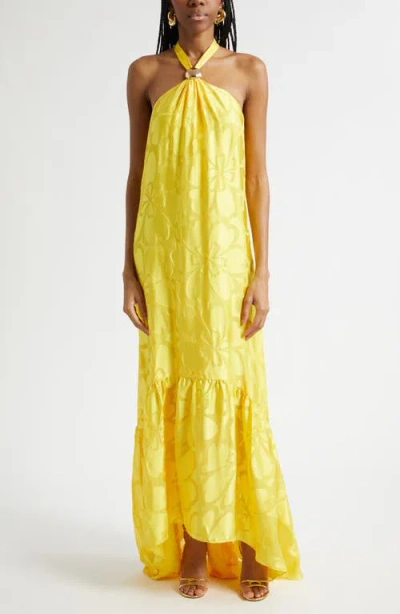 Ramy Brook Zelda Floral Halter Jacquard Gown In Gold