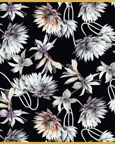 Rani Arabella Women's Flower Printed Cashmere Scarf In Dahlia Blk In Gray