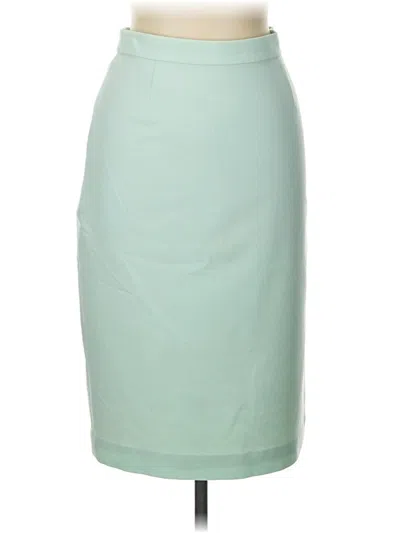 Pre-owned Raoul Formal Skirt In Green
