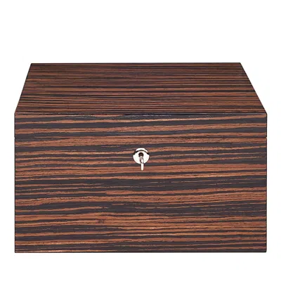 Rapport London Heritage Sixteen Watch Box In Macassar