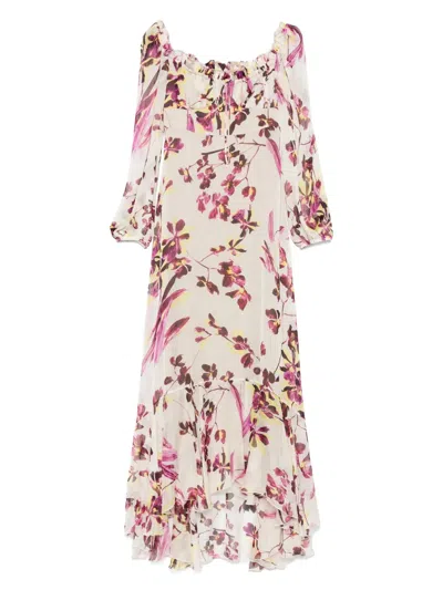 Raquel Diniz Alice Maxi Dress In Neutrals