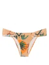 Raquel Diniz Palm-tree-print Bikini Bottom In 褐色