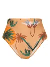Raquel Diniz Palm-tree-print Bikini Bottom In 褐色