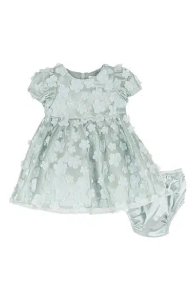 Rare Editions Babies'  3d Flower Mesh Party Dress & Bloomers In Green