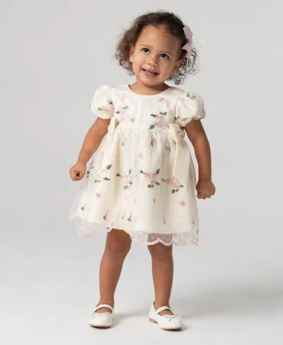 Rare Editions Baby Girl Embroidered Mesh Social Dress In Ivory