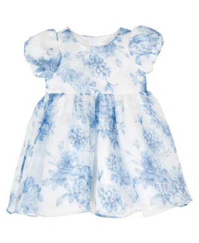 Rare Editions Baby Girl Two-tone Organza Social Dress In Blue