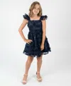 Rare Editions Toddler And Little Girls 3d Floral Embroidery Social Dress In Blue