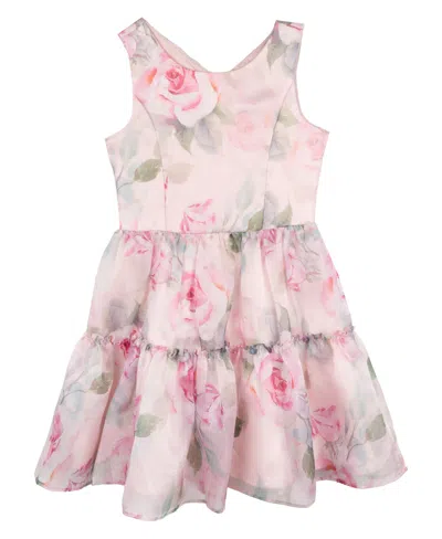 Rare Editions Kids' Big Girls Floral Organza Party Dress