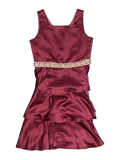 Pre-owned Rare Editions Kids' Dress In Burgundy