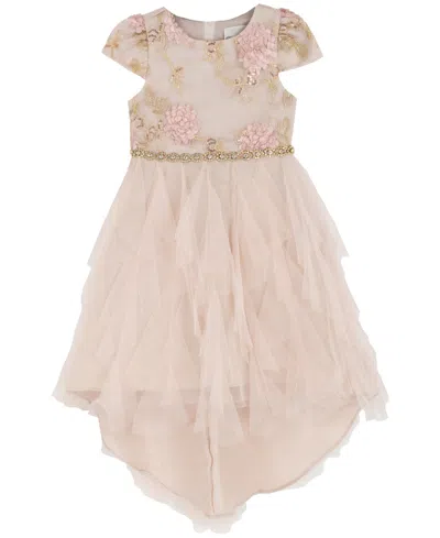 Rare Editions Kids' Girls 2t-6x Round Neck Cascading Detail Mesh Dress In Pink