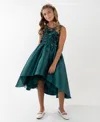Rare Editions Girls 7-16 Sequin Applique Illusion Sleeveless Dress In Green
