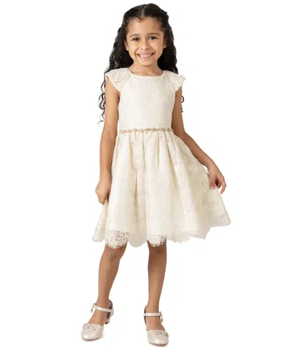Rare Editions Kids' Little Girls Foil Lace Social Dress In Ivory