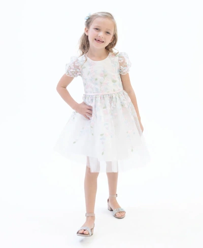 Rare Editions Kids' Little Girls Puff Sleeves Floral Embroidered Mesh Social Dress In Blush