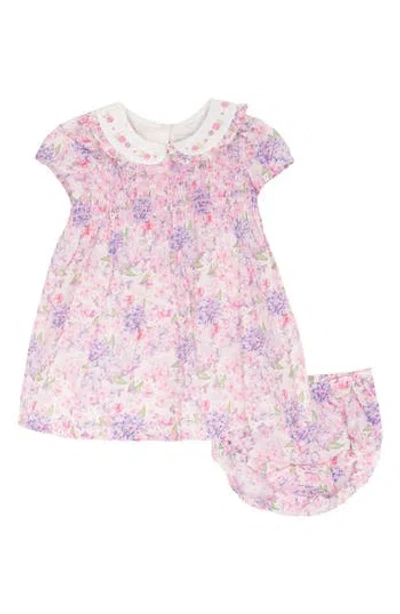 Rare Editions Babies'  Peter Pan Collar Floral Dress & Bloomers Set In Pink