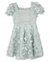 Rare Editions Toddler And Little Girls 3d Butterfly Party Dress