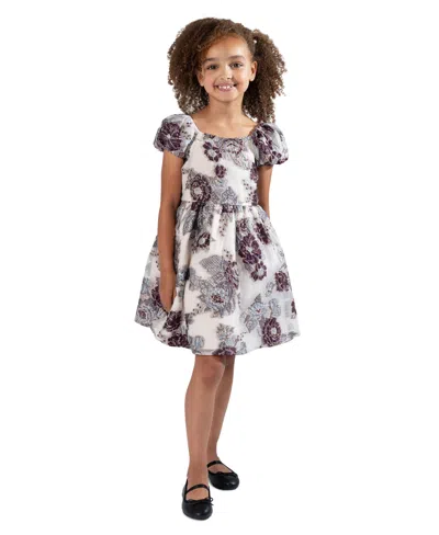 Rare Editions Kids' Toddler & Little Girls Burnout Organza Social Dress In Taupe