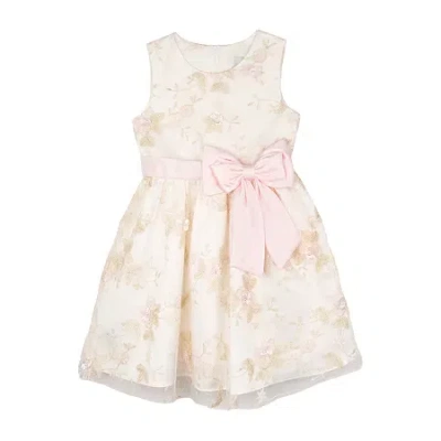 Rare Editions Babies' Toddler Girls Sleeveless A-line Dress In Pink