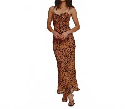 Rare London Devore Lace Tie Front Chiffon Maxi Dress In Black With Leopard Pattern In Animal Print