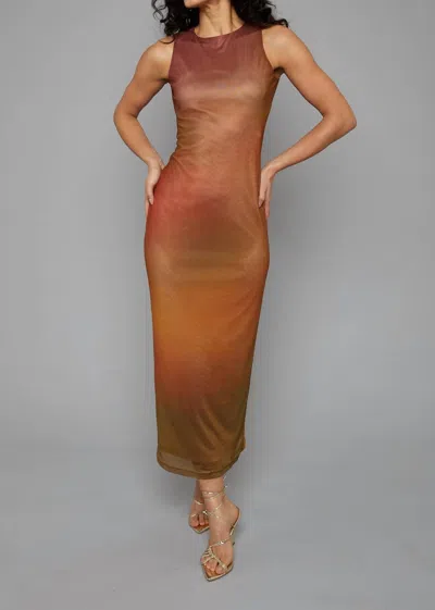 Rare London Blur Sleeveless Mesh Maxi Dress In Rust Blur Print