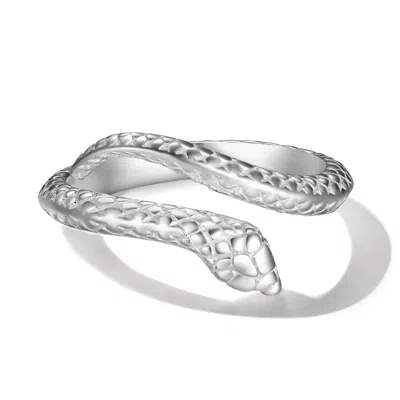 Rare Matters Jewelry Men's Year Of The Snake Recoil Fine Sterling Silver Snake Ring Unisex