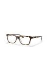 Ray Ban Ray-ban 48mm Square Optical Glasses In Brown