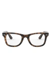 Ray Ban 50mm Optical Glasses In Havana