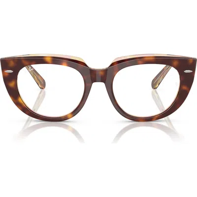 Ray Ban Ray-ban 50mm Square Optical Glasses In Havana
