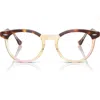 Ray Ban Ray-ban 51mm Square Optical Glasses In Light Havana On Multicolor
