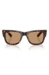 Ray Ban Ray-ban 51mm Square Sunglasses In Brown