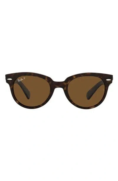 Ray Ban Ray-ban 52mm Polarized Square Sunglasses In Brown