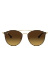 Ray Ban 52mm Round Sunglasses In Brown/ Gold